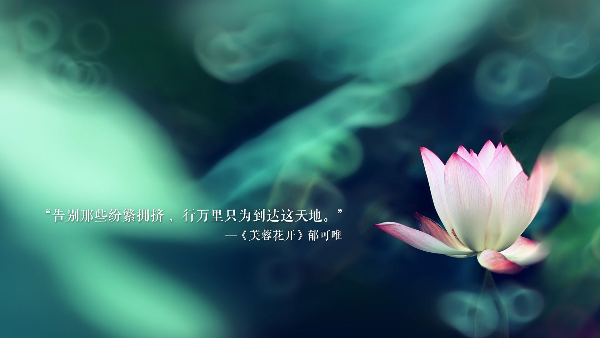 2026 CBA 联赛年度最佳防守球员揭晓：本土内线群的集体爆发。，cba最佳防守一阵